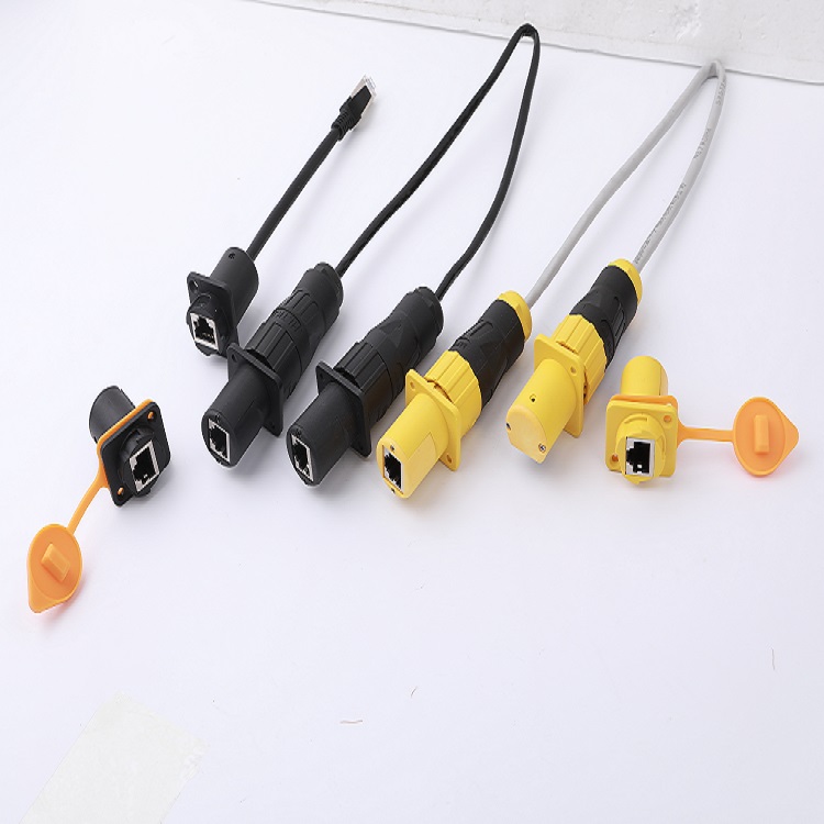 750IMG_7584.jpg 750IMG_7584.jpg